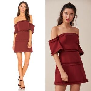 NWT Finders Keepers Visions Mini Dress